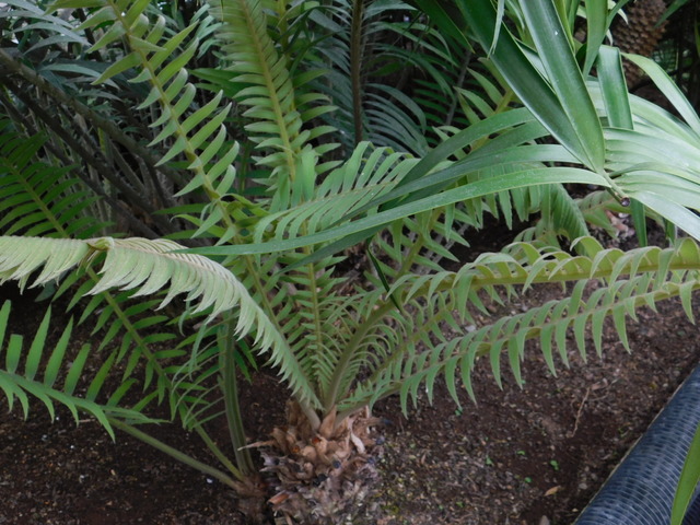 DSCN9076.JPG