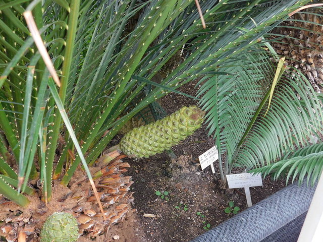 DSCN9080.JPG