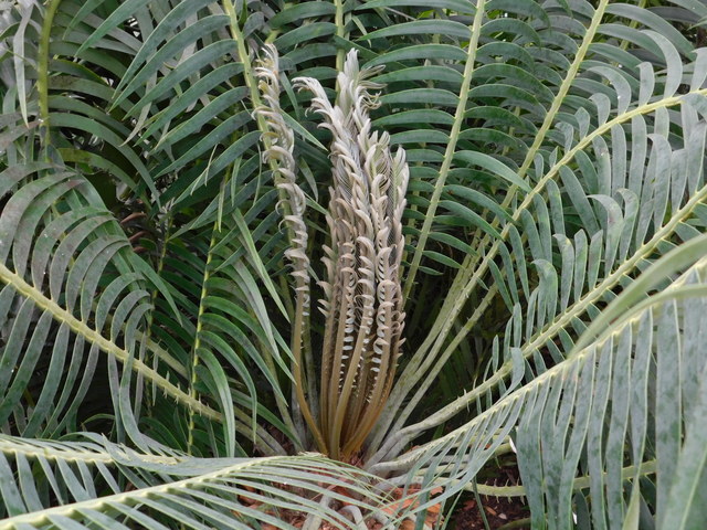DSCN9083.JPG