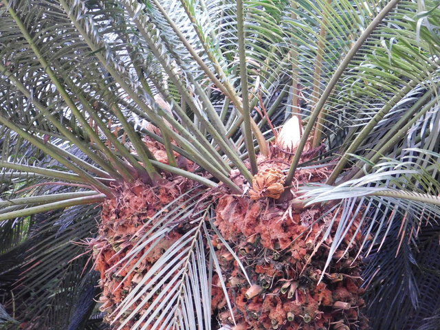DSCN9086.JPG