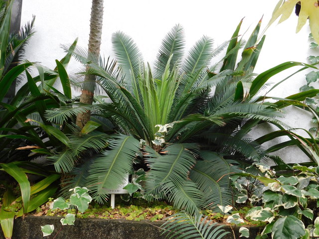 DSCN9089.JPG