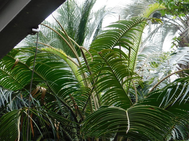 DSCN9092.JPG