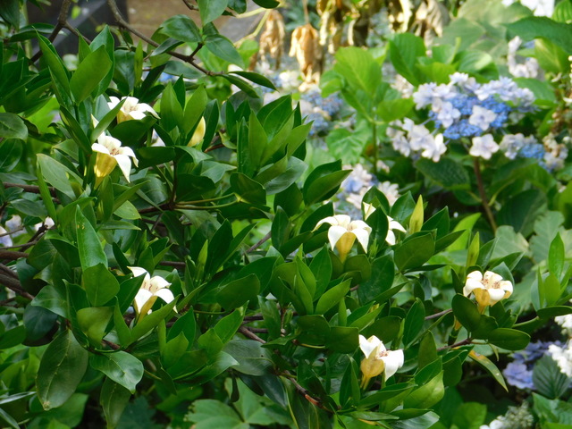 DSCN9095.JPG