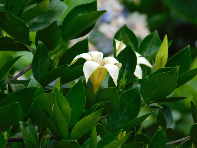 DSCN9097.JPG