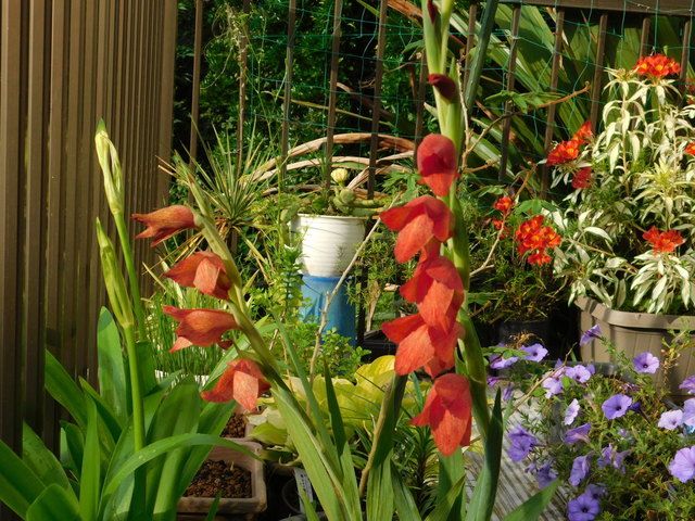DSCN9103.JPG