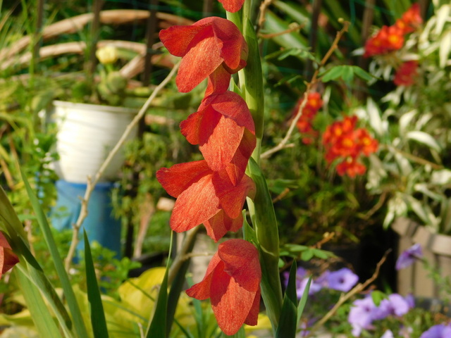 DSCN9105.JPG