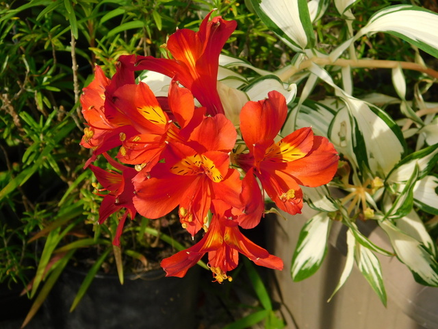 DSCN9113.JPG