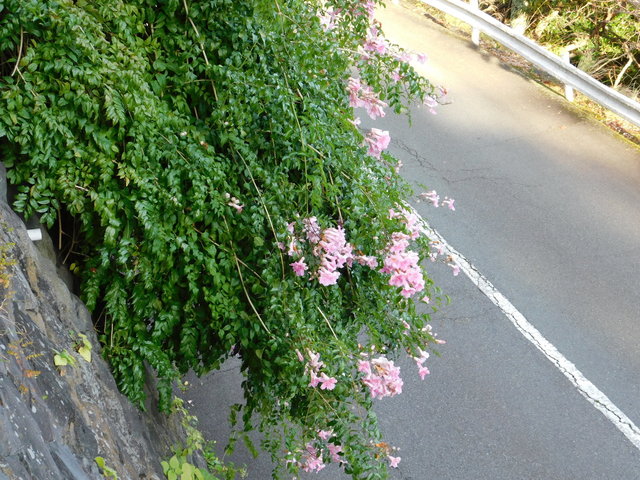 DSCN9226.JPG