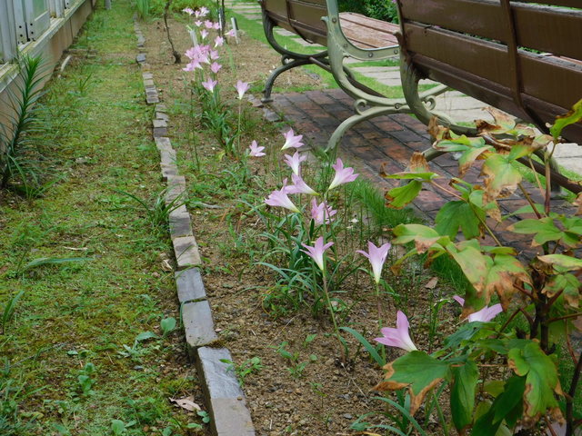 DSCN9239.JPG