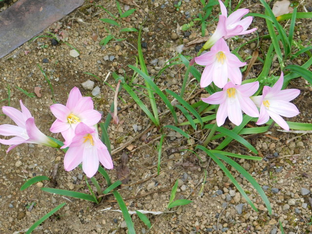 DSCN9241.JPG