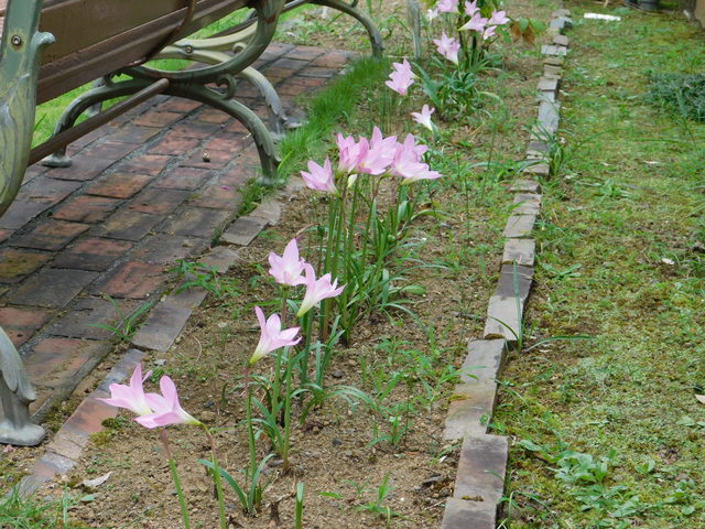 DSCN9242.JPG
