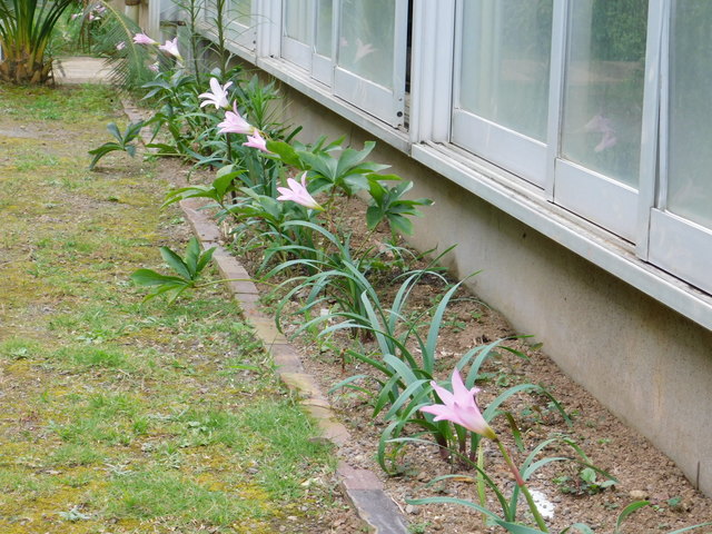 DSCN9250.JPG