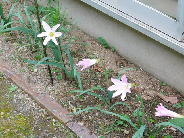 DSCN9252.JPG