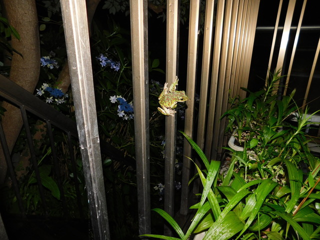 DSCN9261.JPG