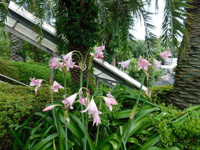DSCN9283.JPG