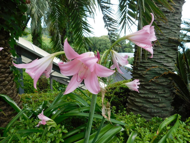DSCN9284.JPG