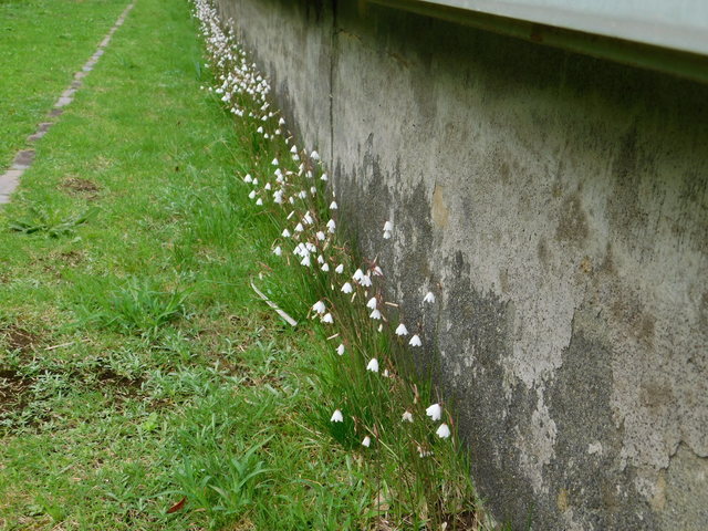 DSCN9287.JPG