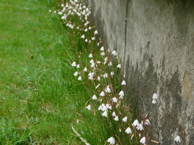 DSCN9289.JPG