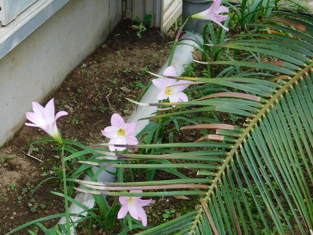 DSCN9291.JPG