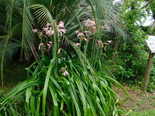 DSCN9297.JPG