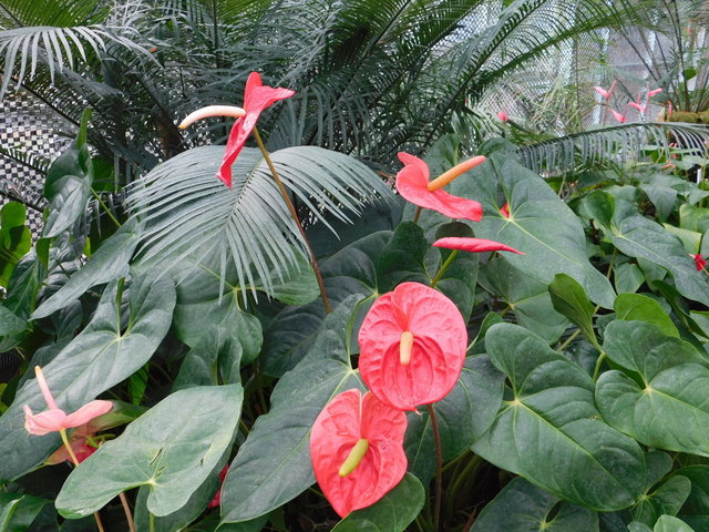 DSCN9379.JPG