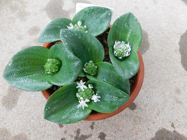 DSCN9408.JPG