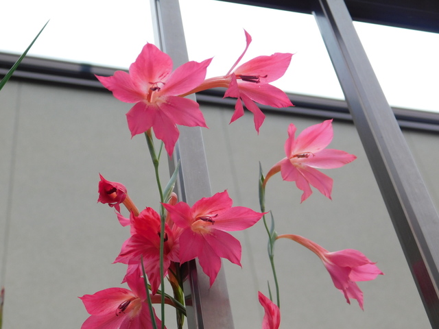 DSCN9423.JPG