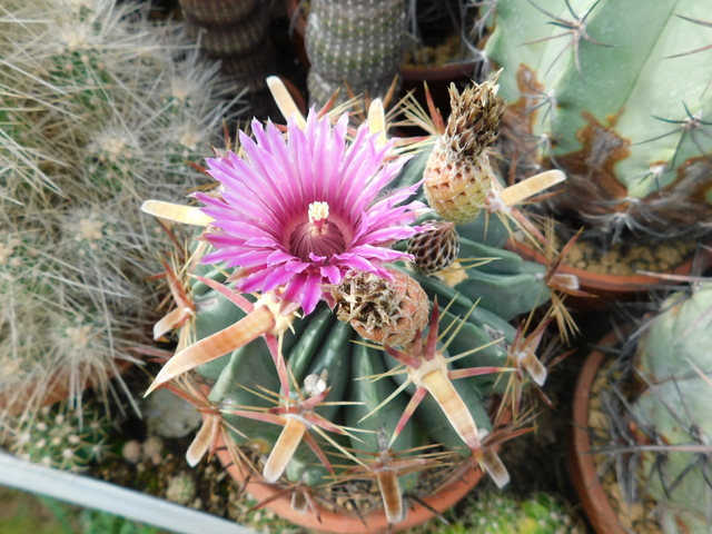 DSCN9578.JPG