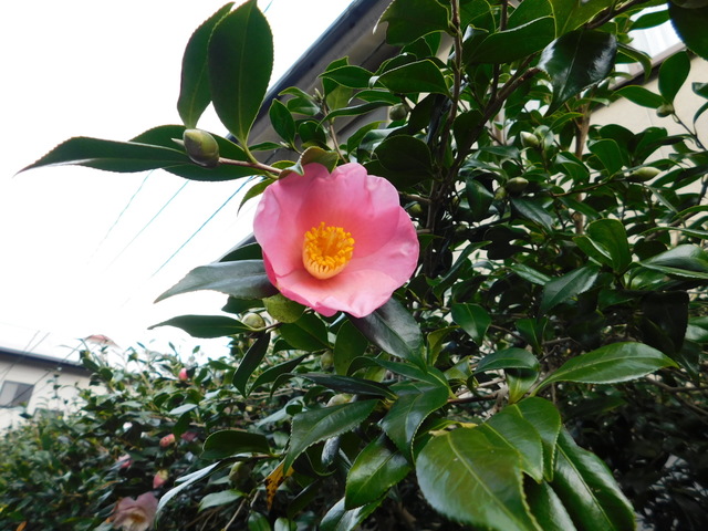 DSCN9625.JPG