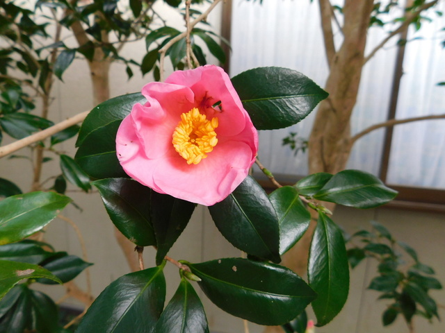 DSCN9626.JPG