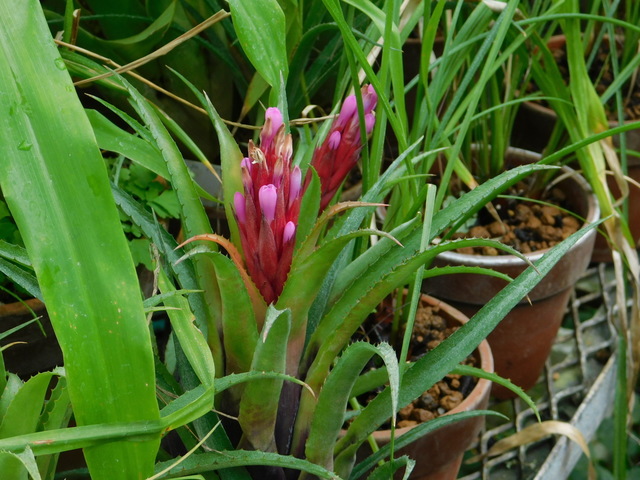 DSCN9689.JPG