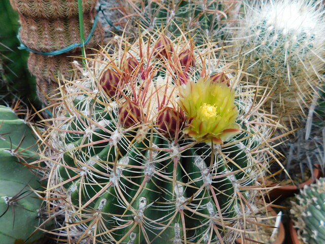 DSCN9694.JPG
