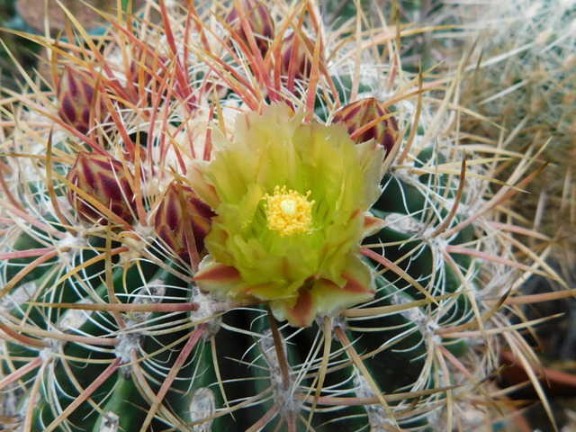 DSCN9697.JPG