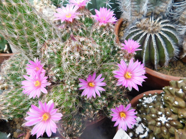 DSCN9702.JPG