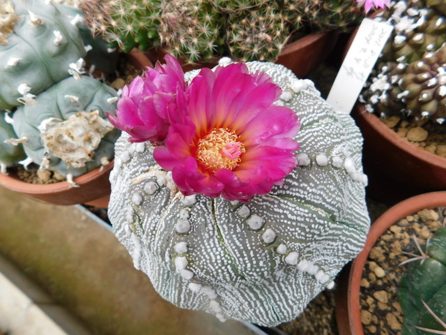 DSCN9706.JPG