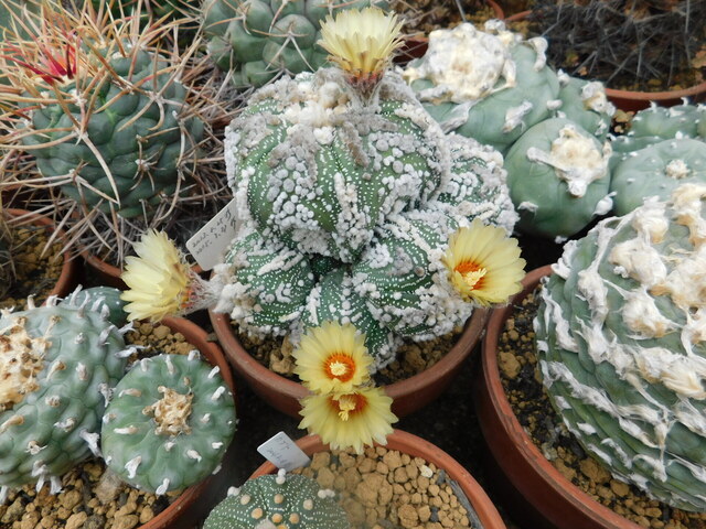DSCN9709.JPG