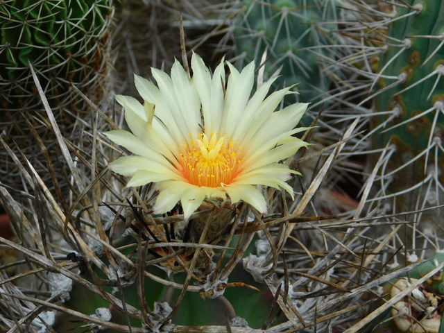 DSCN9717.JPG
