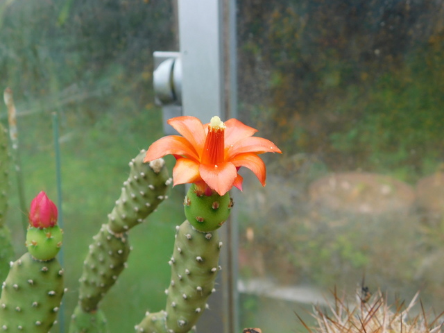 DSCN9719.JPG