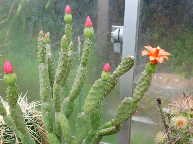 DSCN9720.JPG