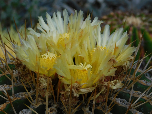 DSCN9731.JPG