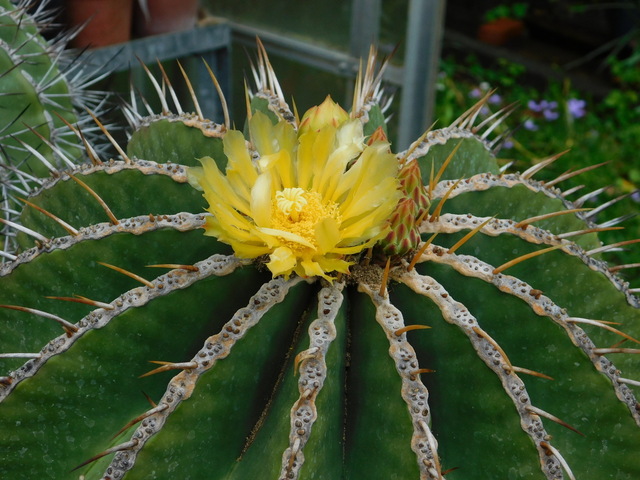 DSCN9735.JPG