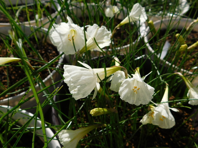 DSCN9756.JPG