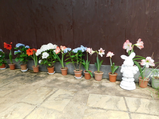 DSCN9764.JPG