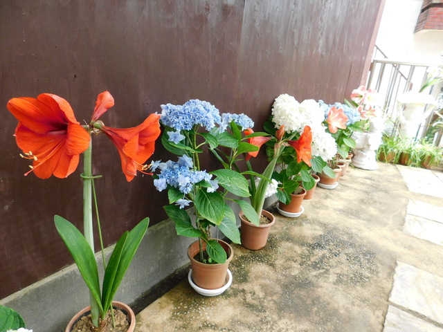 DSCN9767.JPG