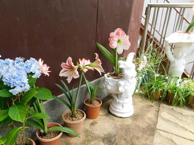 DSCN9770.JPG