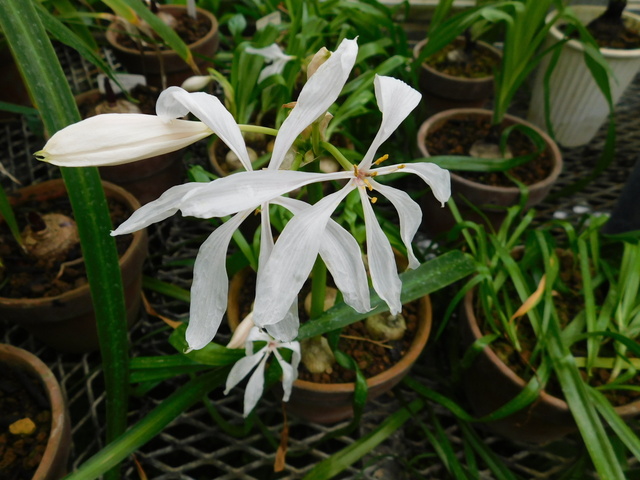 DSCN9776.JPG