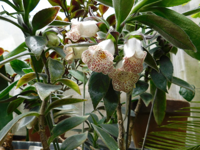 DSCN9777.JPG