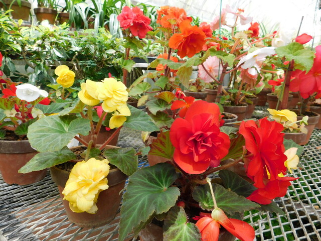 DSCN9792.JPG
