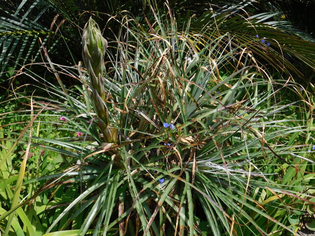 DSCN9794.JPG