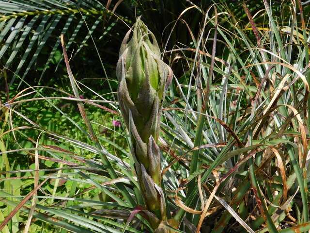 DSCN9796.JPG
